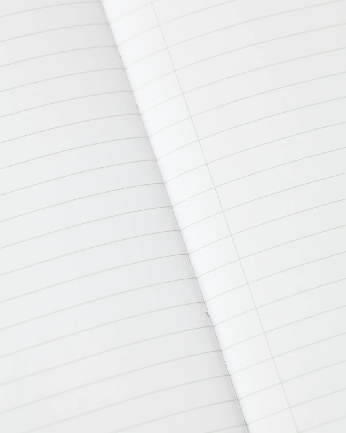 Eggs Softcover Lined Notebook