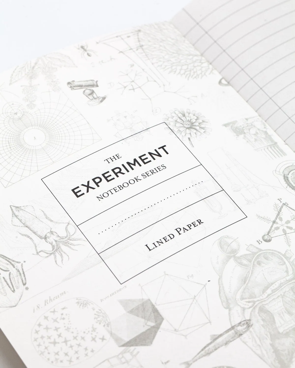Eggs Softcover Lined Notebook