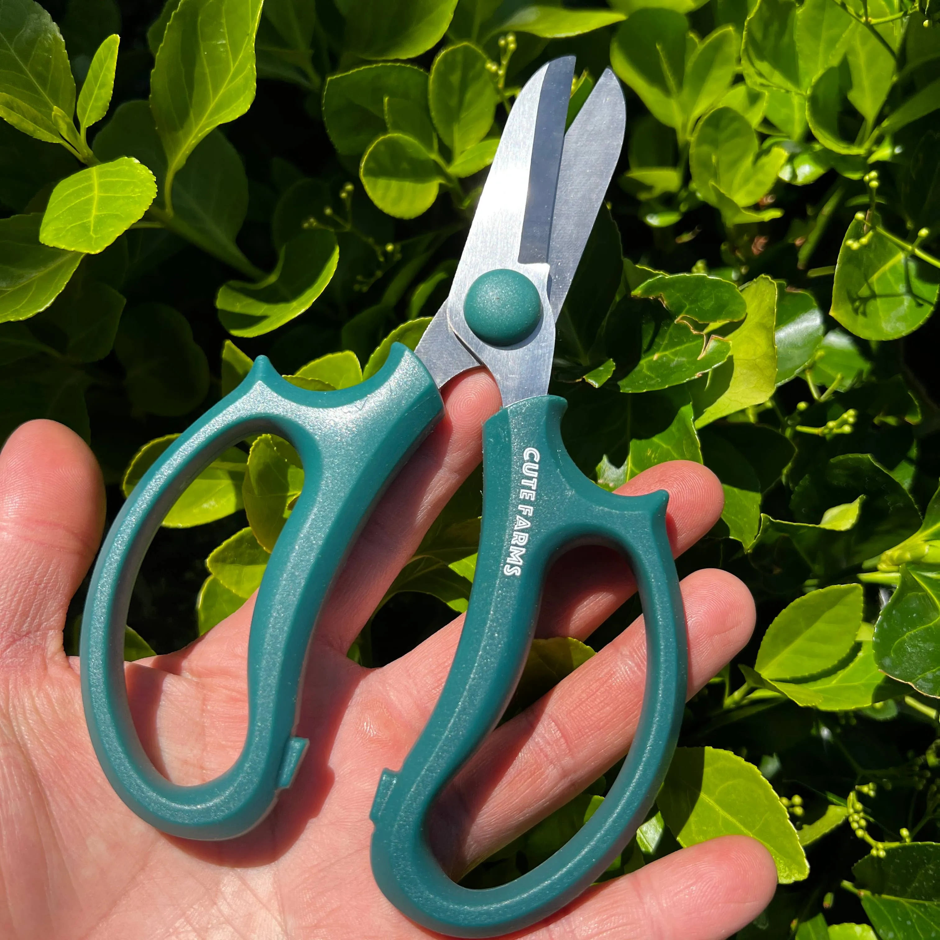 Floral & Garden Scissors