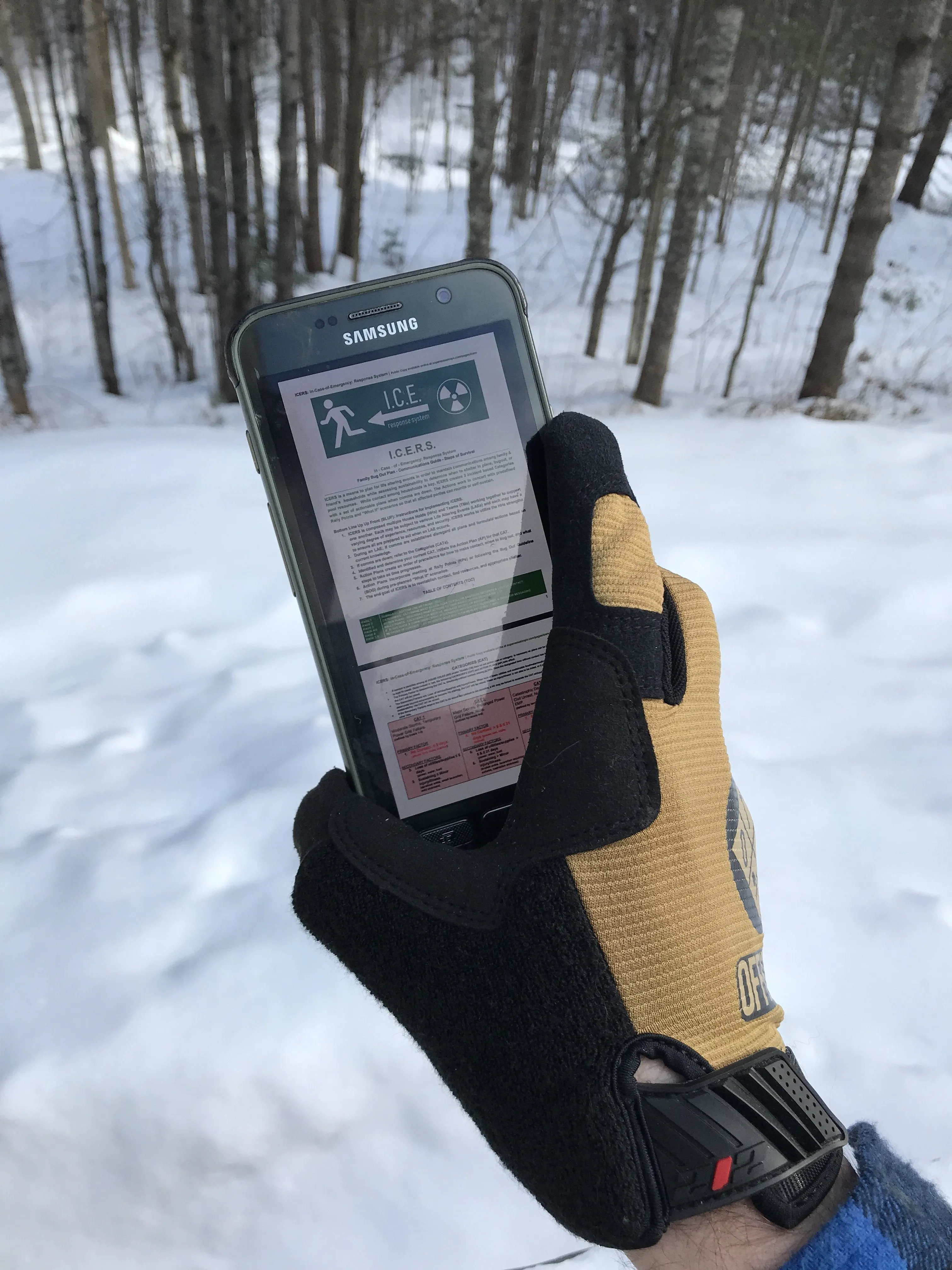 ICERS - In Case of Emergency Response System and Bugout Plan [Digital Folder]