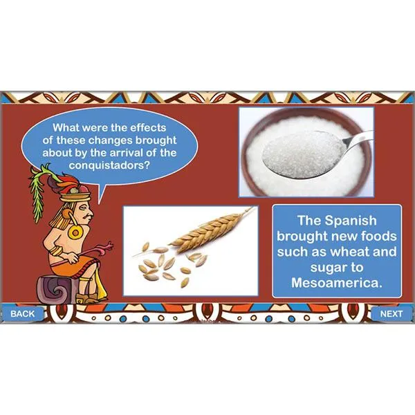 The Maya Topic